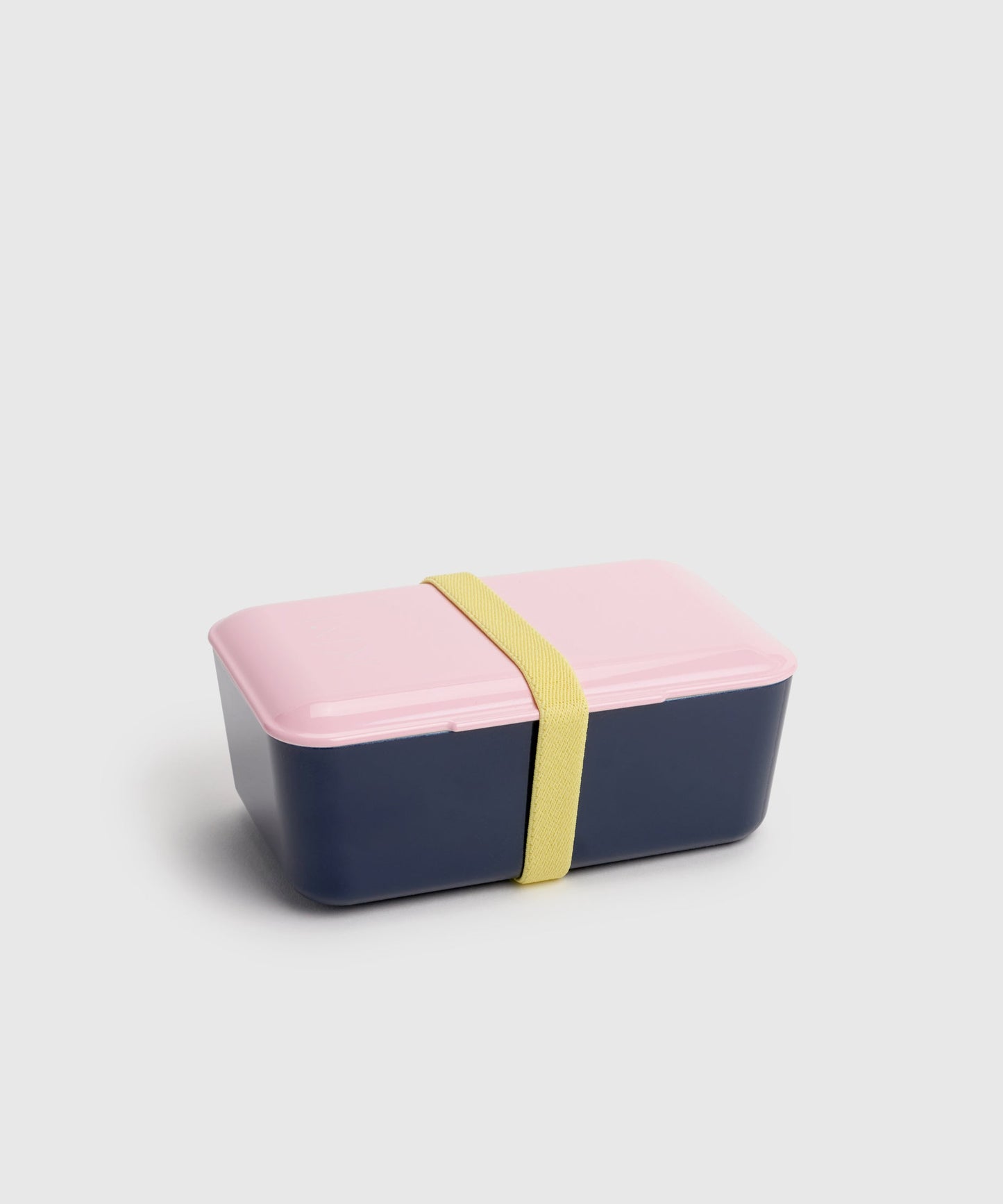 Modern Japanese Bento Box