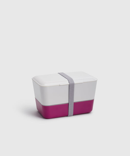 Modern Japanese Bento Box
